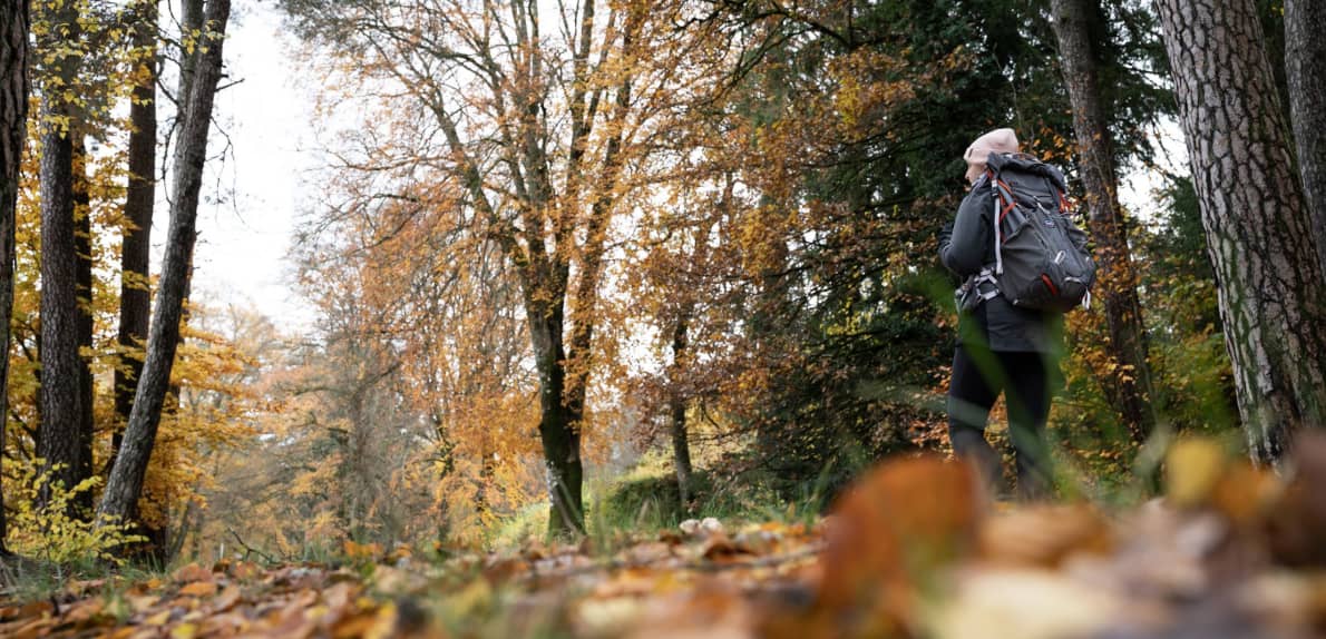 Un automne français : voyage automnal en van à travers le Massif Central