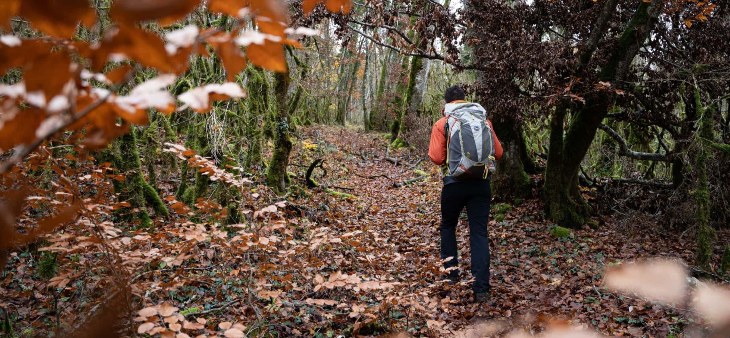 massif central rando automne