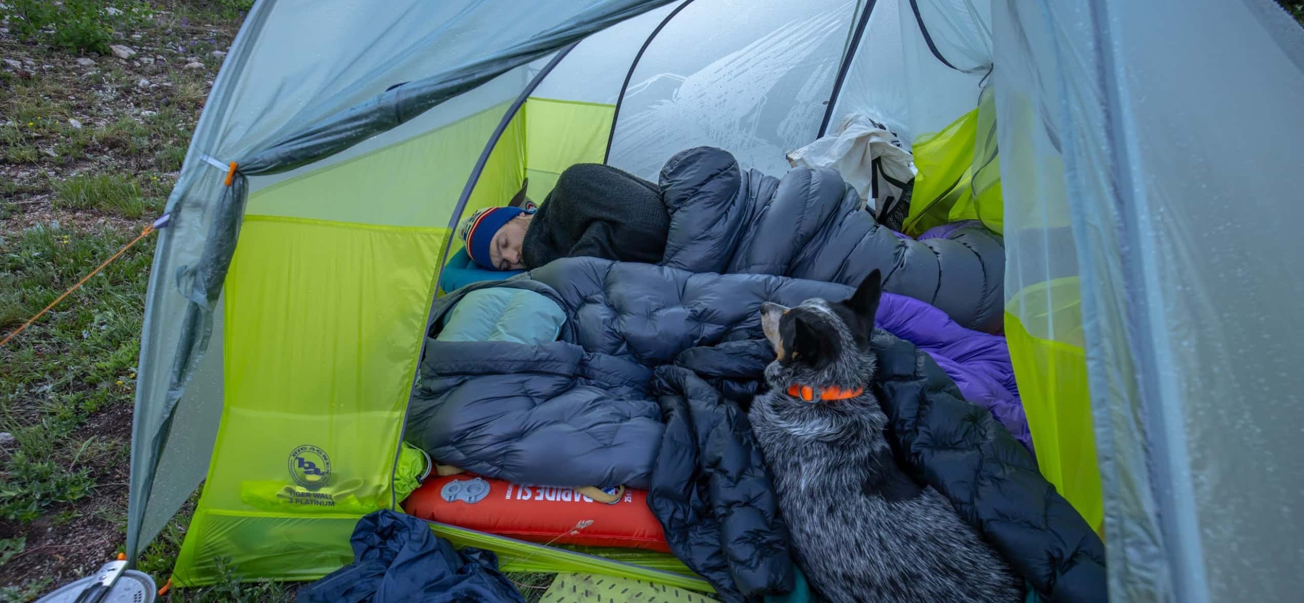 tente tiger wall platinum