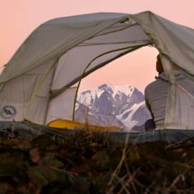 Tiger Wall 3 Platinum Gray/Blue