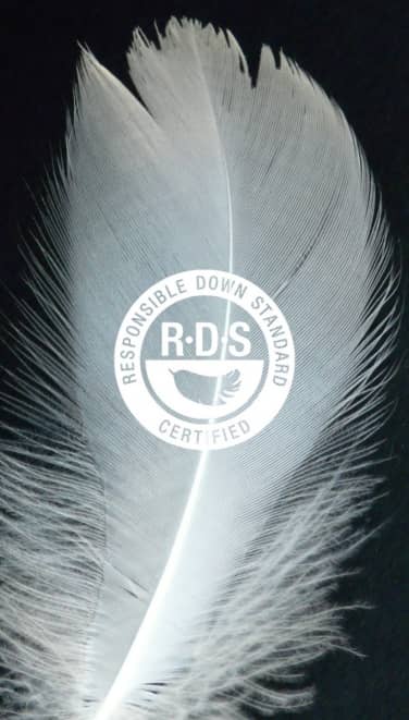 RDS big agnes
