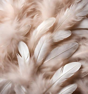 garnissage en duvet d'oie