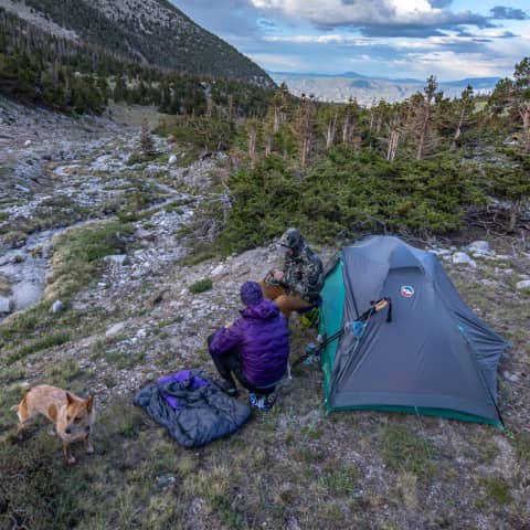 tente sarvis vst big agnes