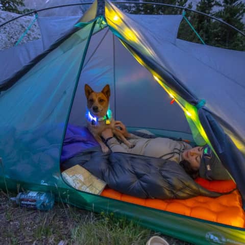 sac de couchage en duvet big agnes fly creek ul