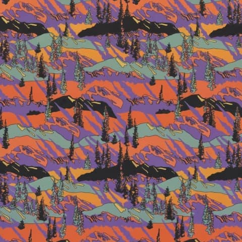 motif anniversaire Big Agnes