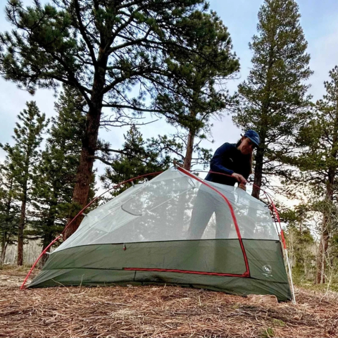 copper spur ul1 lichen green chambre