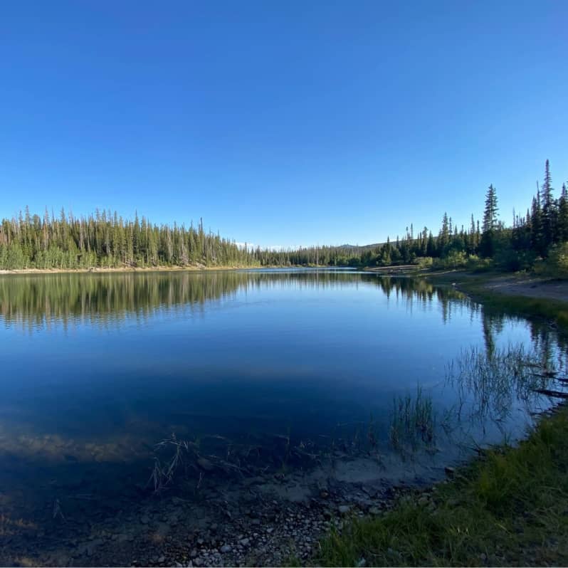 Pitchpine trialhead au colorado