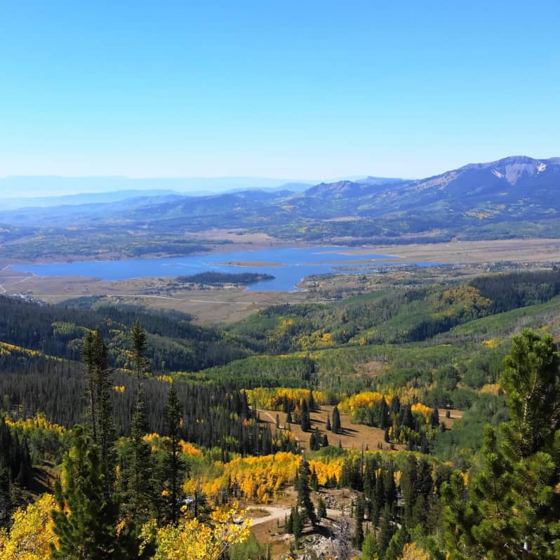 Forêts au pied du Hahns Peak