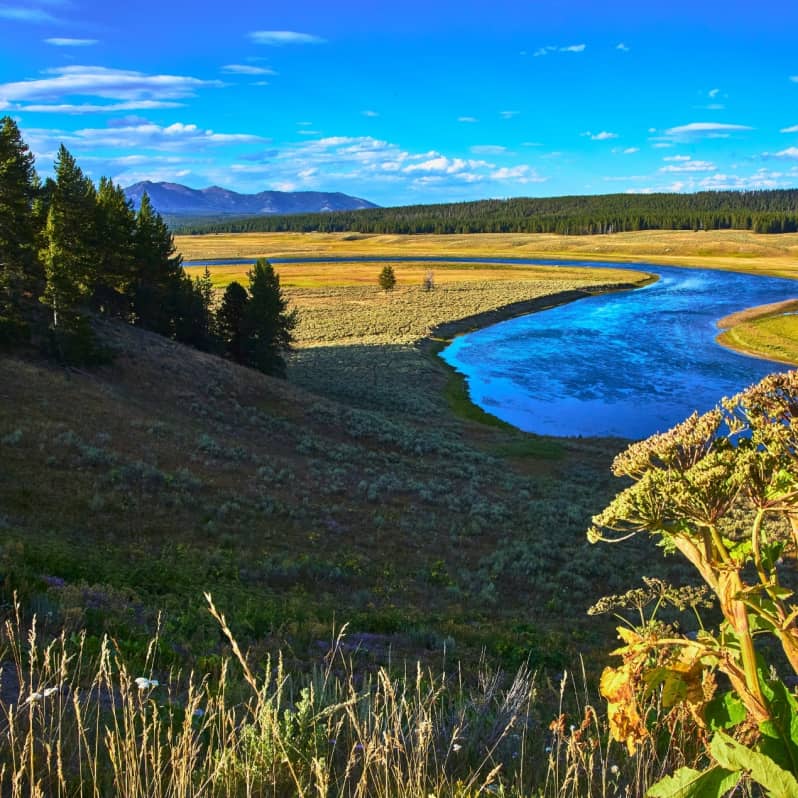fly creek river