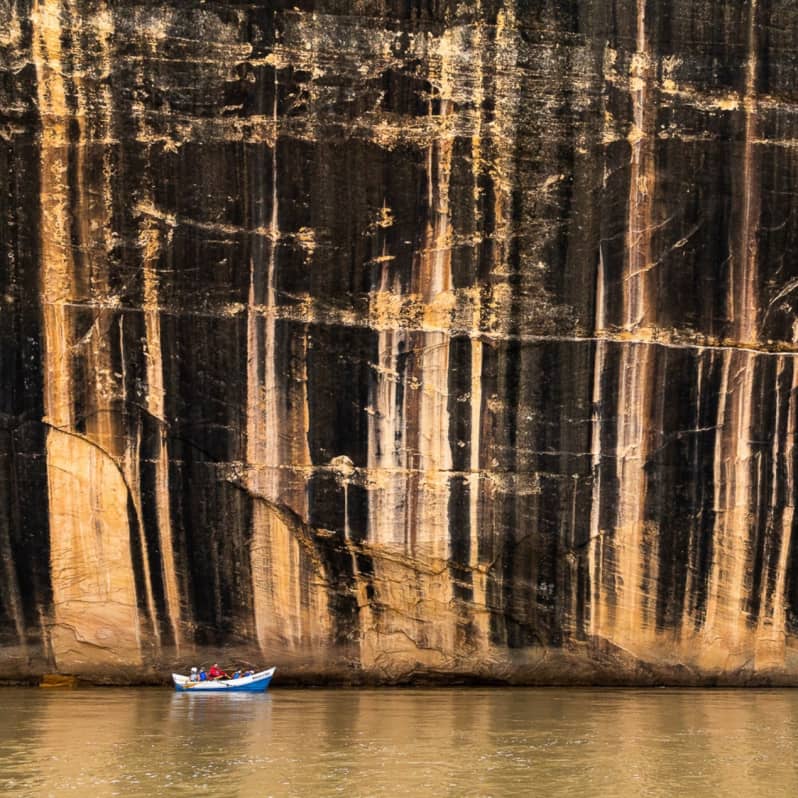 mur du tigre sur la yampa river