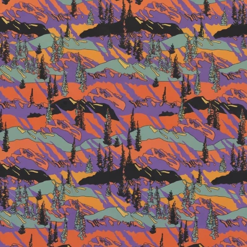 Coloris Alpenglow 25 ans Big Agnes